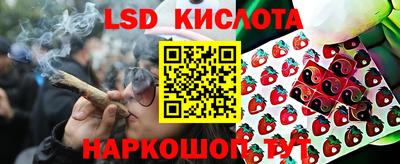 альфа пвп Новокубанск