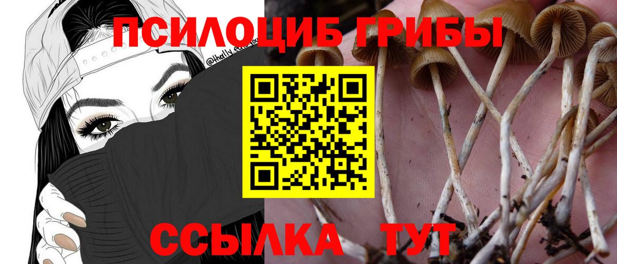 Протвино  Галлюциногенные грибы GOLDEN TEACHER  Вход с VPN 